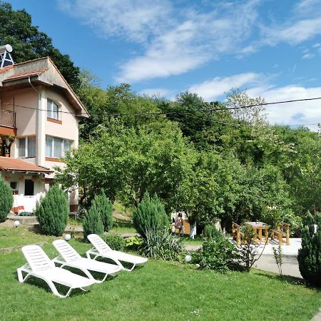 Casa Noastra Hotel Orsova Bagian luar foto
