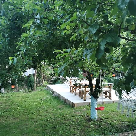 Casa Noastra Hotel Orsova Bagian luar foto