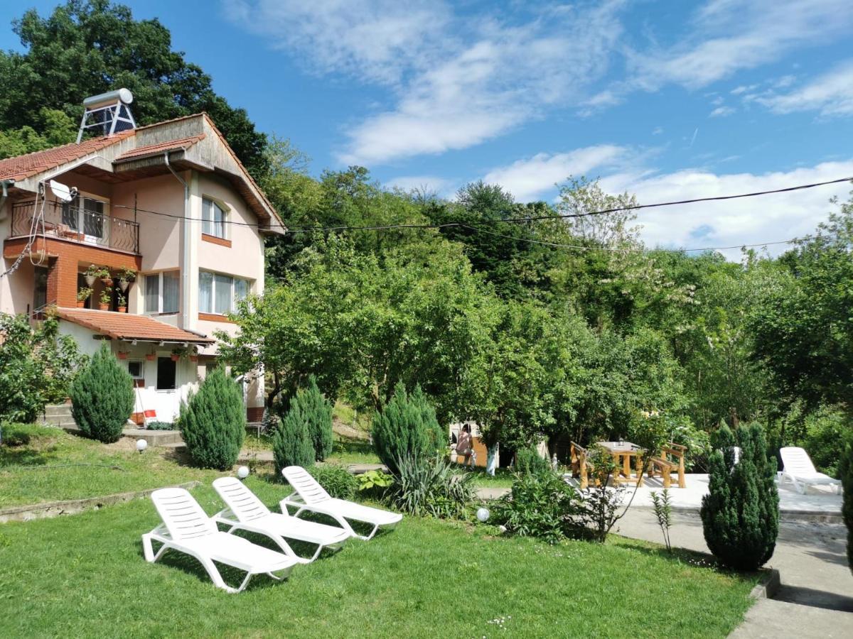 Casa Noastra Hotel Orsova Bagian luar foto