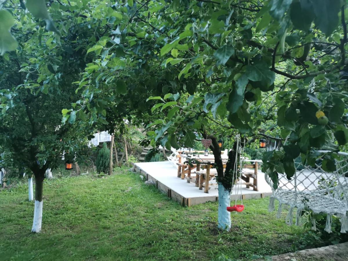 Casa Noastra Hotel Orsova Bagian luar foto